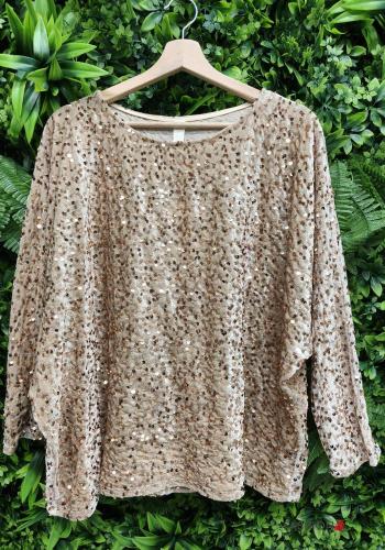 Elegant Long sleeved top - ph 1
